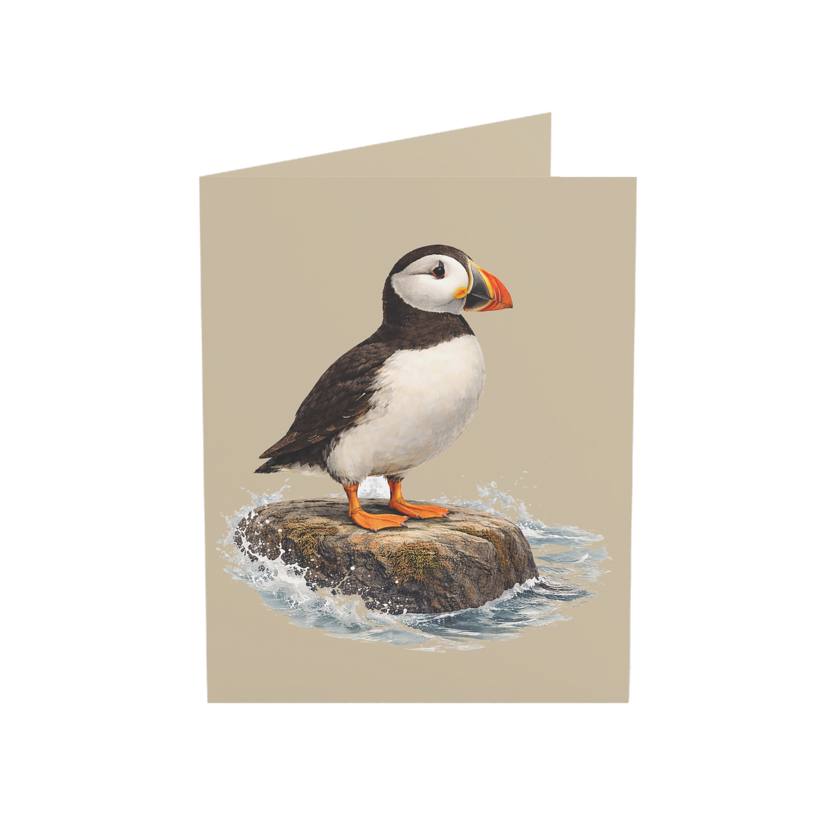 Coastal puffin standing on a wave-washed rock on a blank greeting card