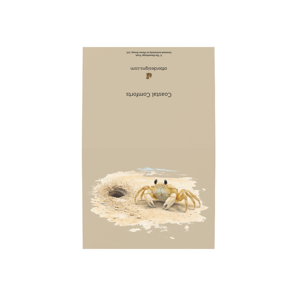 Coastal Ghost Crab Greeting Cards, 10ct