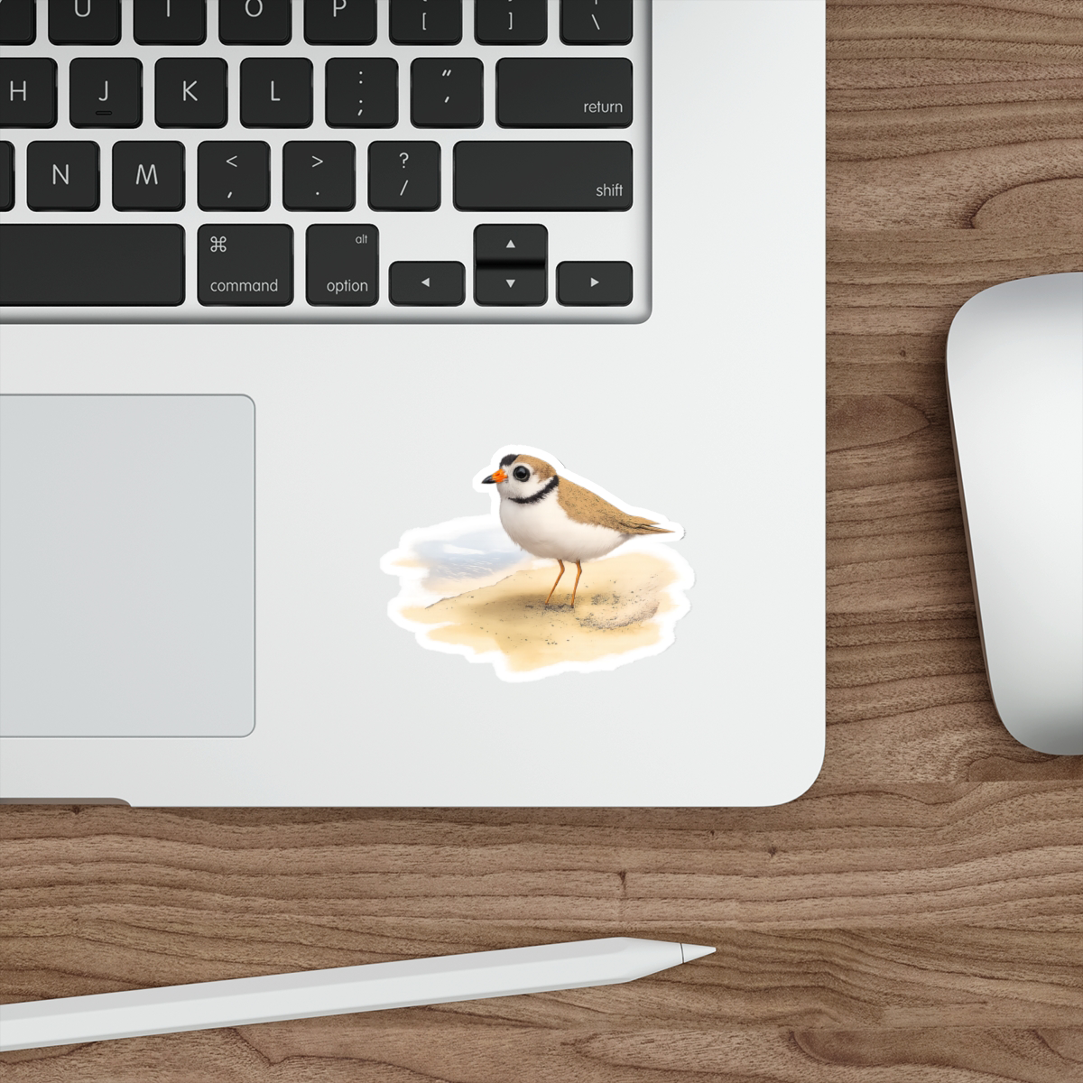 Pippin the Plover, Matte Vinyl Die-Cut Sticker