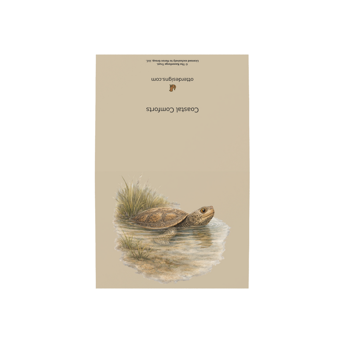 Coastal Terrapin Greeting Cards, 10ct
