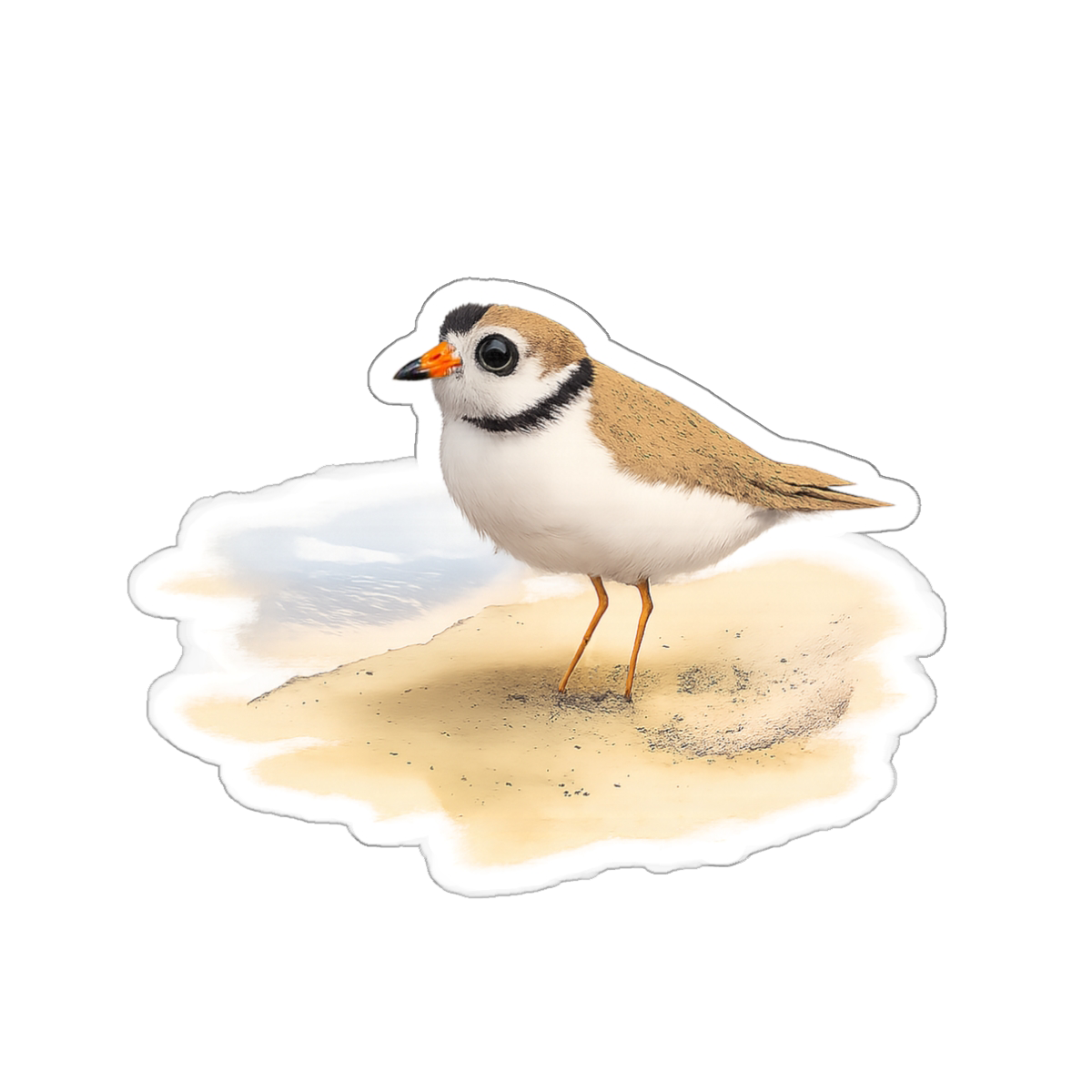 Pippin the Plover, Matte Vinyl Die-Cut Sticker