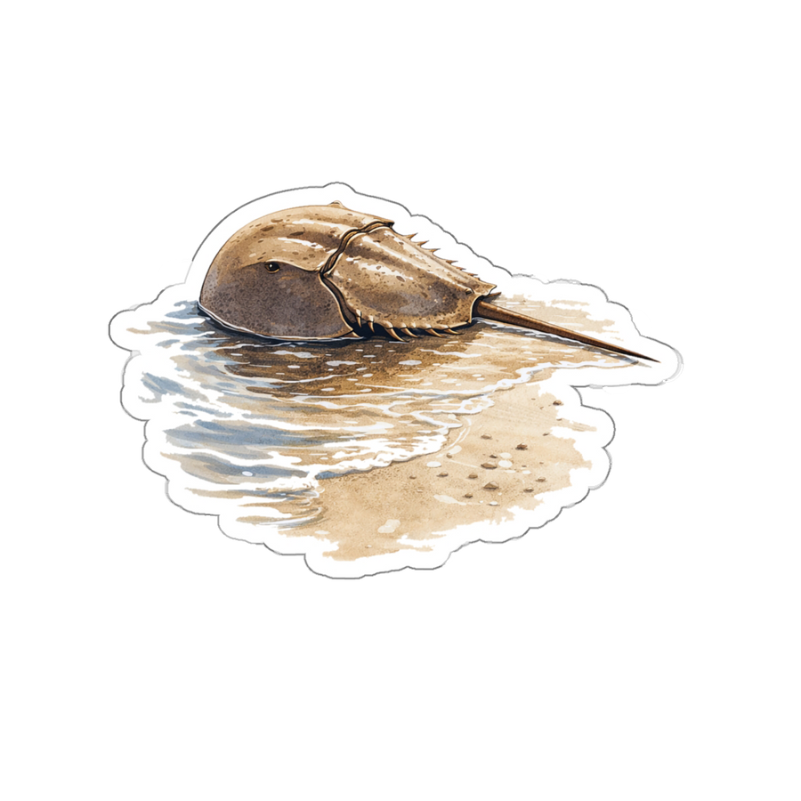 Remi the Horseshoe Crab, Matte Vinyl Die-Cut Sticker